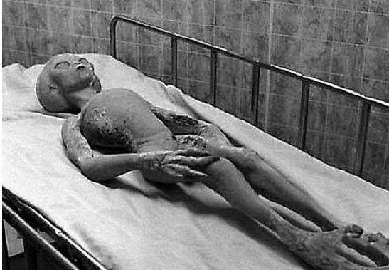 UFO外星人尸体(多图)640 / 作者:UFO爱好者 / 帖子ID:89971