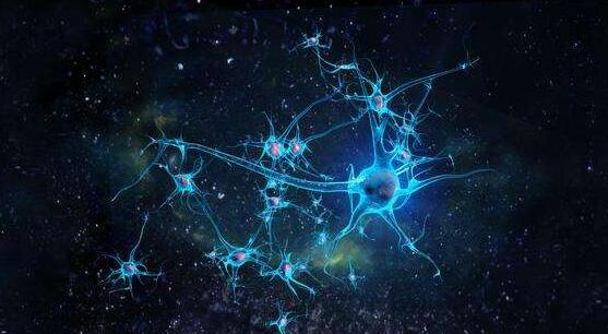 其实人类并不存在，我们是生活在虚拟世界的NPC645 / 作者:UFO爱好者 / 帖子ID:81926