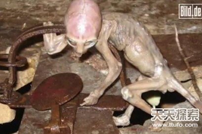 外星人存在?37张照片曝真相835 / 作者:UFO爱好者 / 帖子ID:74147 外星人存在?37张照片曝真相835 / 作者:UFO爱好者 / 帖子ID:74147