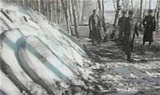战斗相当惨烈！中国空军击落外星UFO521 / 作者:UFO爱好者 / 帖子ID:73394