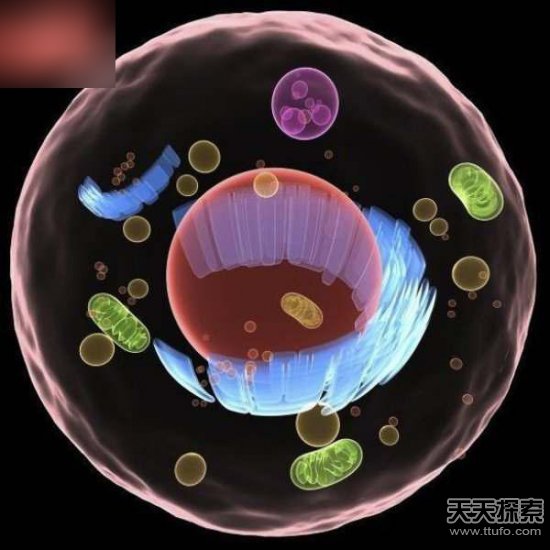 生命起源的骇人理论 不从地球开始而是从外太空来的27 / 作者:UFO爱好者 / 帖子ID:78746