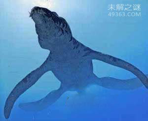 龙王鲸才是海洋霸主，灭绝的远古海洋巨兽495 / 作者:UFO爱好者 / 帖子ID:73932