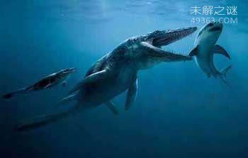 龙王鲸才是海洋霸主，灭绝的远古海洋巨兽321 / 作者:UFO爱好者 / 帖子ID:73932