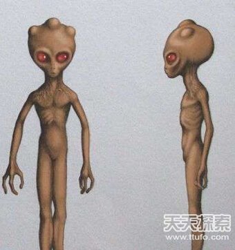 军方掩盖惊天真相：人类曾活捉外星人274 / 作者:UFO爱好者 / 帖子ID:74146