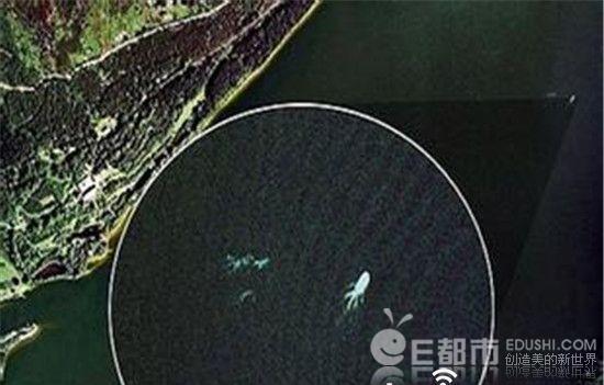 布雷路怪兽：威斯康辛州埃尔克霍恩乡村道路神秘生物254 / 作者:UFO爱好者 / 帖子ID:78548