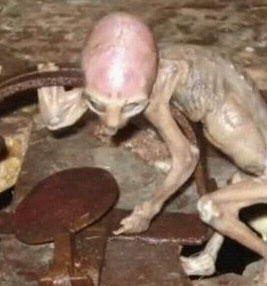 世界12大匪夷所思的奇异事件501 / 作者:UFO爱好者 / 帖子ID:84917