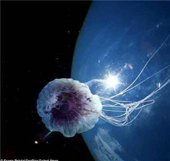 海洋奇特水母盘点：灯塔水母不会死亡的生物409 / 作者:UFO爱好者 / 帖子ID:85970