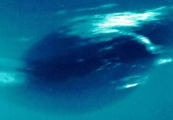 海王星有海吗，外表无液态水（内部有一片水氨海洋）433 / 作者:UFO爱好者 / 帖子ID:79347