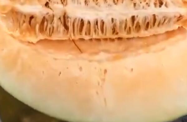 哈密瓜肉里面有空孔，熟透了才会有（是长瓜子的地方）614 / 作者:UFO爱好者 / 帖子ID:91234