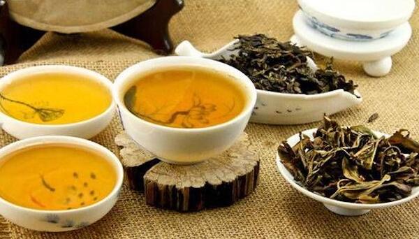 普洱茶是黑茶吗，不属于黑茶（一种特种茶/喝了可以减肥）881 / 作者:UFO爱好者 / 帖子ID:91051