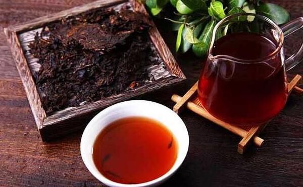 普洱茶是黑茶吗，不属于黑茶（一种特种茶/喝了可以减肥）110 / 作者:UFO爱好者 / 帖子ID:91051