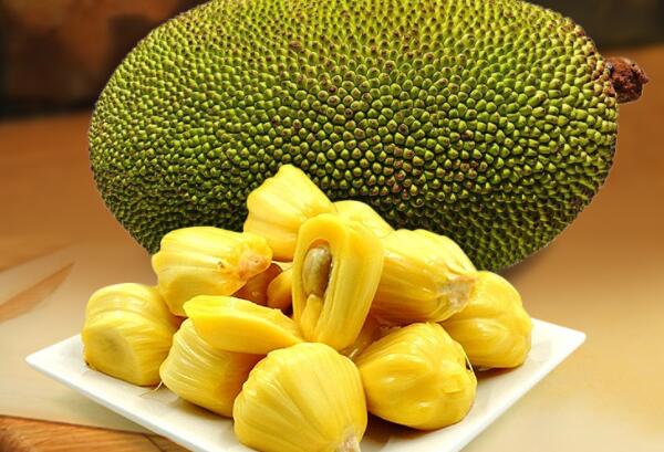 牛油果和菠萝蜜能同吃吗，可以同吃（味道不同一起吃影响口感）932 / 作者:UFO爱好者 / 帖子ID:91049