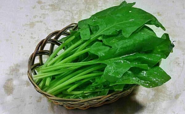 秋天上火需要吃什么，菠菜、石榴、香蕉、苦瓜（美味又去火）101 / 作者:UFO爱好者 / 帖子ID:91007