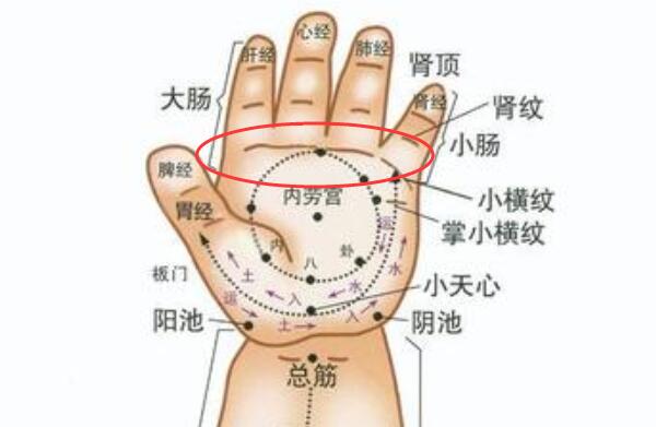幼儿健脾胃的推拿手法，揉脾经、胃经200次（可促进消化）545 / 作者:UFO爱好者 / 帖子ID:91001
