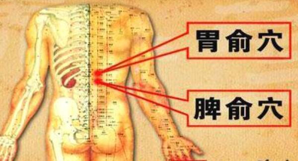 幼儿健脾胃的推拿手法，揉脾经、胃经200次（可促进消化）827 / 作者:UFO爱好者 / 帖子ID:91001