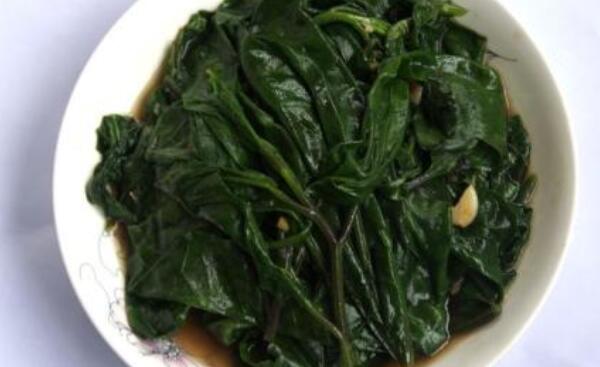 明月草的正确食用方法，一天嚼食15片/煲汤食用/煎水饮用921 / 作者:UFO爱好者 / 帖子ID:90911