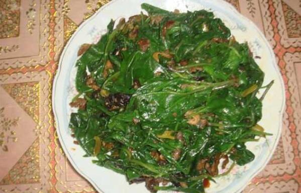 明月草的正确食用方法，一天嚼食15片/煲汤食用/煎水饮用507 / 作者:UFO爱好者 / 帖子ID:90911