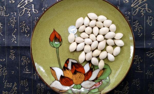 白果不能和什么一起吃，不能和鳗鱼、阿司匹林同食（对人有害）876 / 作者:UFO爱好者 / 帖子ID:90642