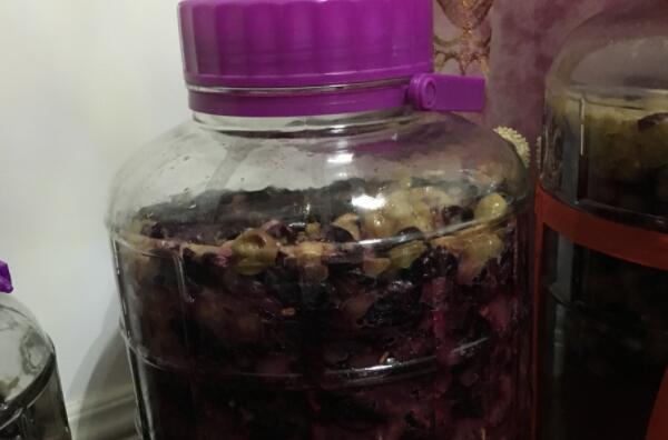 自制葡萄酒的正确方法，细心清洗/加糖密封/陈酿4个月以上669 / 作者:UFO爱好者 / 帖子ID:90641
