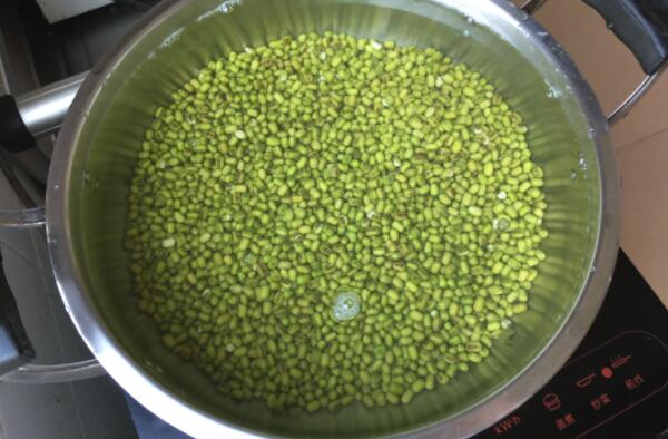 绿豆可以泡一晚上吗，加水超过绿豆3倍可以泡一晚上795 / 作者:UFO爱好者 / 帖子ID:90557