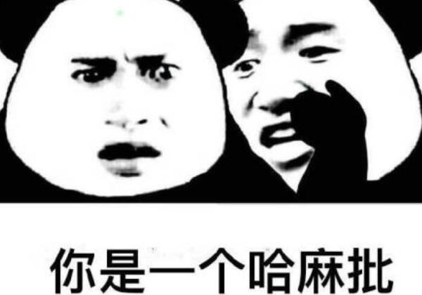 hmp是什么的缩写，哈麻皮（四川用于骂人的方言）421 / 作者:UFO爱好者 / 帖子ID:90372