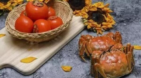 大闸蟹和柿子一起吃吗，不能一起吃（容易出现腹痛）637 / 作者:UFO爱好者 / 帖子ID:90162
