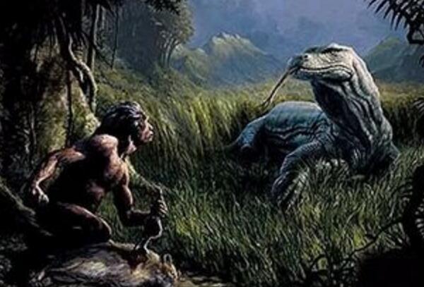 澳洲魔龙灭绝之谜，4万年前被人类杀光（世界最大蜥蜴）726 / 作者:UFO爱好者 / 帖子ID:103739