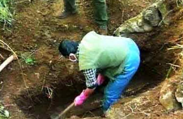 神龙架猴娃真相，不穿衣服生气像大猩猩（实为小脑症患者）39 / 作者:UFO爱好者 / 帖子ID:103752
