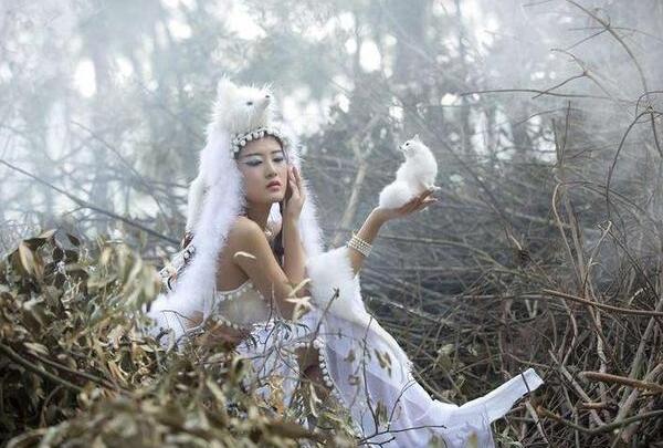 动物讨封的真实事件，向人类讨个回答（修行会随答案增加会倒退）913 / 作者:UFO爱好者 / 帖子ID:92399