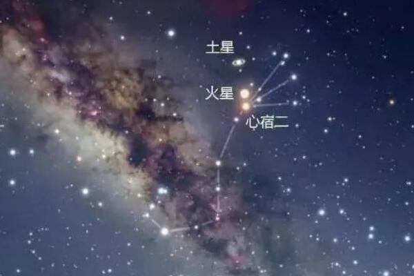 心宿二有多大，心宿二和参宿四哪个大/前者要大一点900 / 作者:UFO爱好者 / 帖子ID:81533