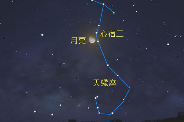 心宿二有多大，心宿二和参宿四哪个大/前者要大一点823 / 作者:UFO爱好者 / 帖子ID:81533