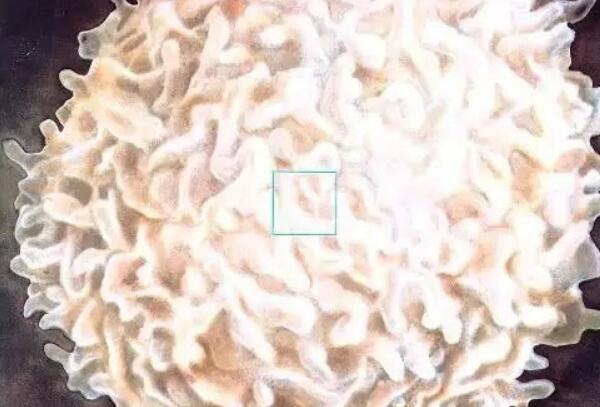 把人放大一亿倍，可以将地球举起来/皮肤看起来很吓人878 / 作者:UFO爱好者 / 帖子ID:103911