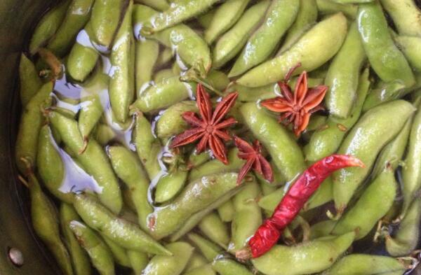 呼毛豆都放什么材料，大料、花椒不可缺（盐、辣椒、姜片适量）830 / 作者:UFO爱好者 / 帖子ID:90328