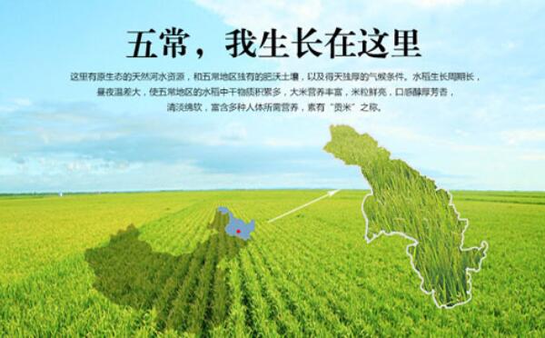 五常大米几月份卖新米，十一月份（五月播种十月收割）597 / 作者:UFO爱好者 / 帖子ID:90232
