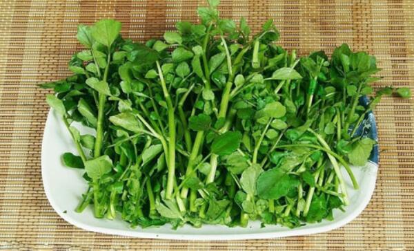 西洋菜害处，西洋菜孕妇可以吃吗（吃了可能造成流产）582 / 作者:UFO爱好者 / 帖子ID:88840