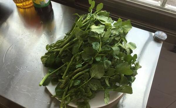 西洋菜害处，西洋菜孕妇可以吃吗（吃了可能造成流产）175 / 作者:UFO爱好者 / 帖子ID:88840