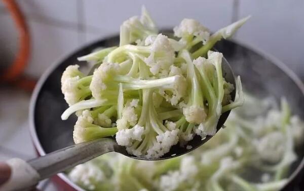 菜花需要焯水吗，需掉水（菜花更鲜艳/缩短烹饪时间）63 / 作者:UFO爱好者 / 帖子ID:88346
