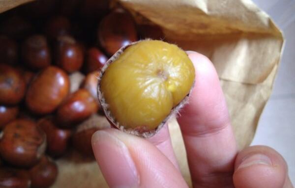 生板栗去壳去皮窍门，壳上切十字/热水浸泡15分钟479 / 作者:UFO爱好者 / 帖子ID:87604