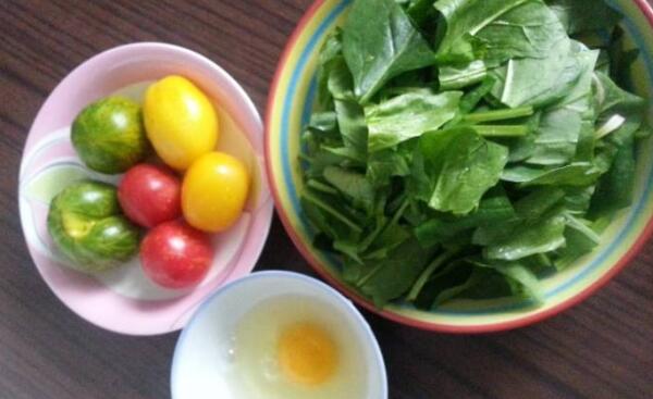 柿子能和苹果一起吃吗，能同食（营养物质无相克成分）211 / 作者:UFO爱好者 / 帖子ID:87574