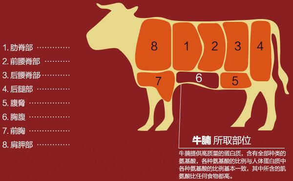 牛腩高压锅压几分钟，35分钟左右（有防癌抗癌的功效）536 / 作者:UFO爱好者 / 帖子ID:84538
