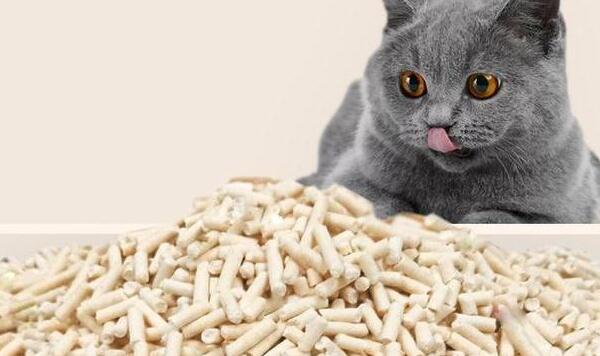 豆腐猫砂和膨润土比例，5:5混合（猫咪会享受排便便）502 / 作者:UFO爱好者 / 帖子ID:84458