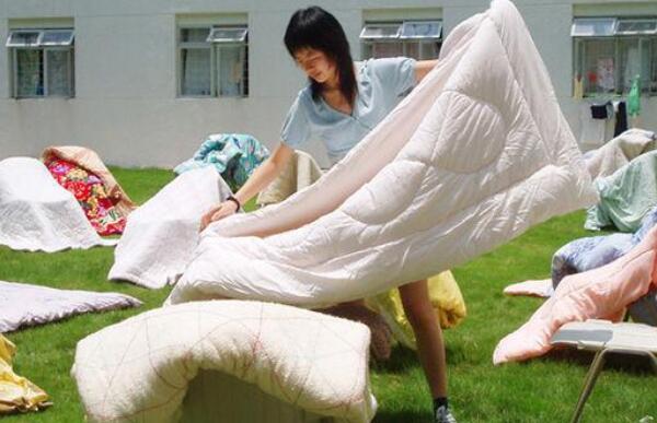 棉被上的尿渍怎样去除，新尿用清水洗（旧尿用洗涤剂清洗）370 / 作者:UFO爱好者 / 帖子ID:84227