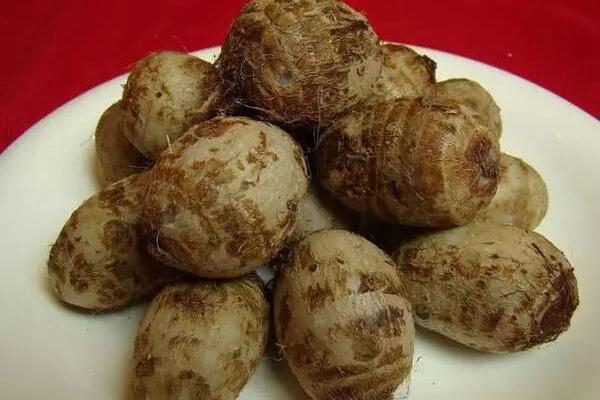 芋头粘液痒怎么办，手洗净后涂满食醋（处理芋头应戴手套）447 / 作者:UFO爱好者 / 帖子ID:84219