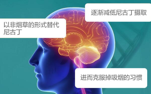 戒烟贴的危害，对人体基本无害（戒烟效果很好）372 / 作者:UFO爱好者 / 帖子ID:84150