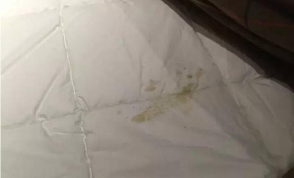 7kg洗衣机能洗被子吗，能（被子重量在7kg以内）439 / 作者:UFO爱好者 / 帖子ID:84139