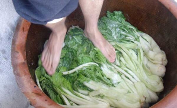 辣白菜为什么放苹果，辣白菜怎么做好吃（放苹果提味）705 / 作者:UFO爱好者 / 帖子ID:84063