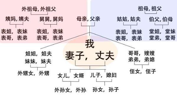 亲威是什么意思，与自己有血亲和姻亲的人（配偶/姻亲/血亲）66 / 作者:UFO爱好者 / 帖子ID:83646