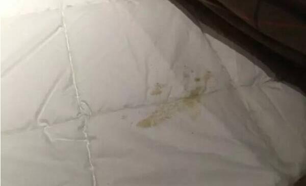 棉被里的棉花能洗吗，不能（棉花水洗会结块变质）528 / 作者:UFO爱好者 / 帖子ID:83930