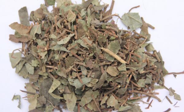 矮地茶能和猪肺同吃吗，能（应在医生指导下食用）393 / 作者:UFO爱好者 / 帖子ID:83200