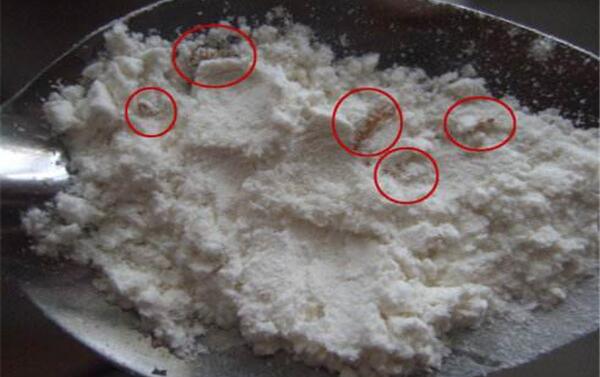 面粉冷冻能用吗，可以食用（防止面粉变霉/预防生虫）866 / 作者:UFO爱好者 / 帖子ID:83046